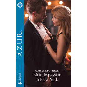 Nuit de passion à New York